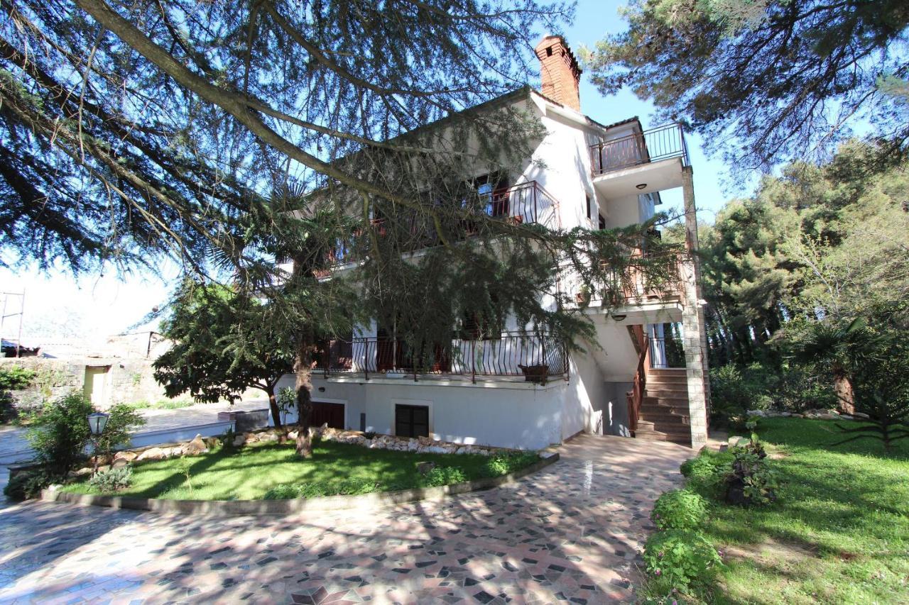 Apartment Clementina Visnjan Exterior photo